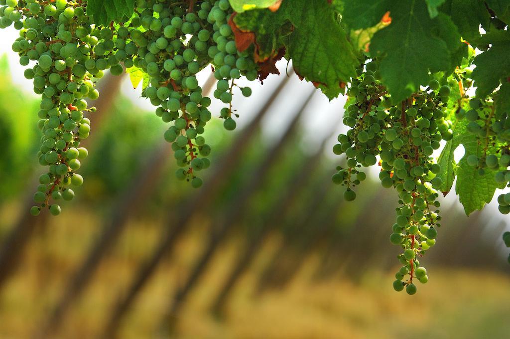 B&B Camignone Franciacorta Passirano Buitenkant foto