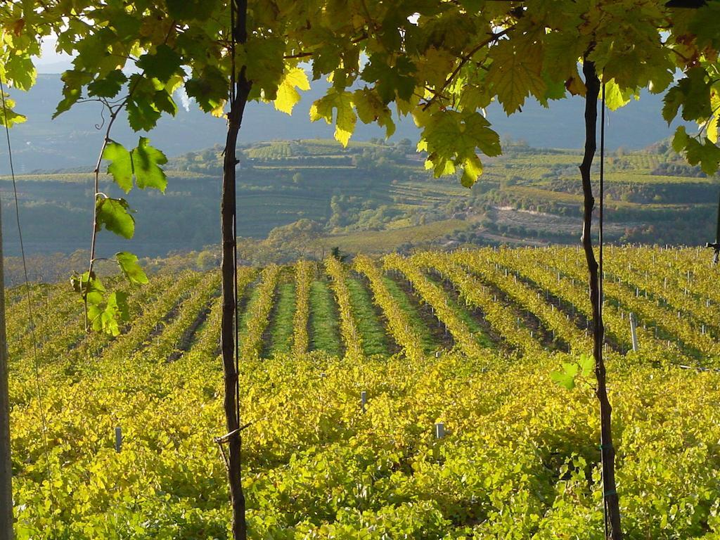 B&B Camignone Franciacorta Passirano Buitenkant foto