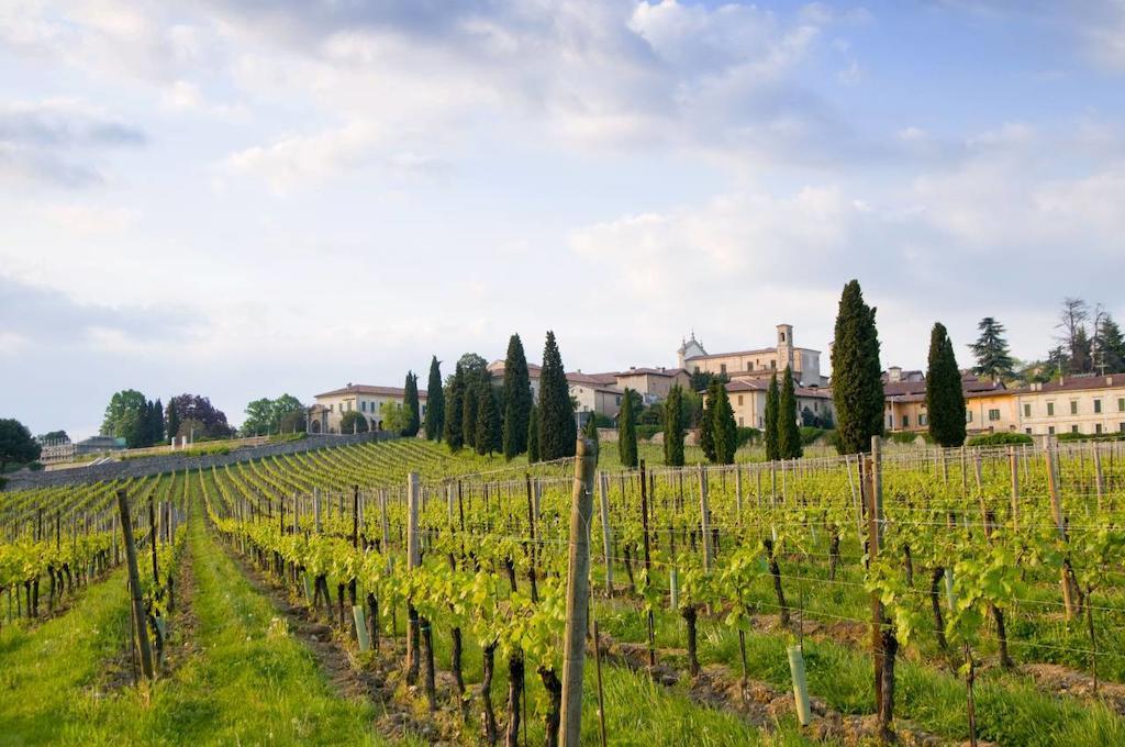 B&B Camignone Franciacorta Passirano Buitenkant foto